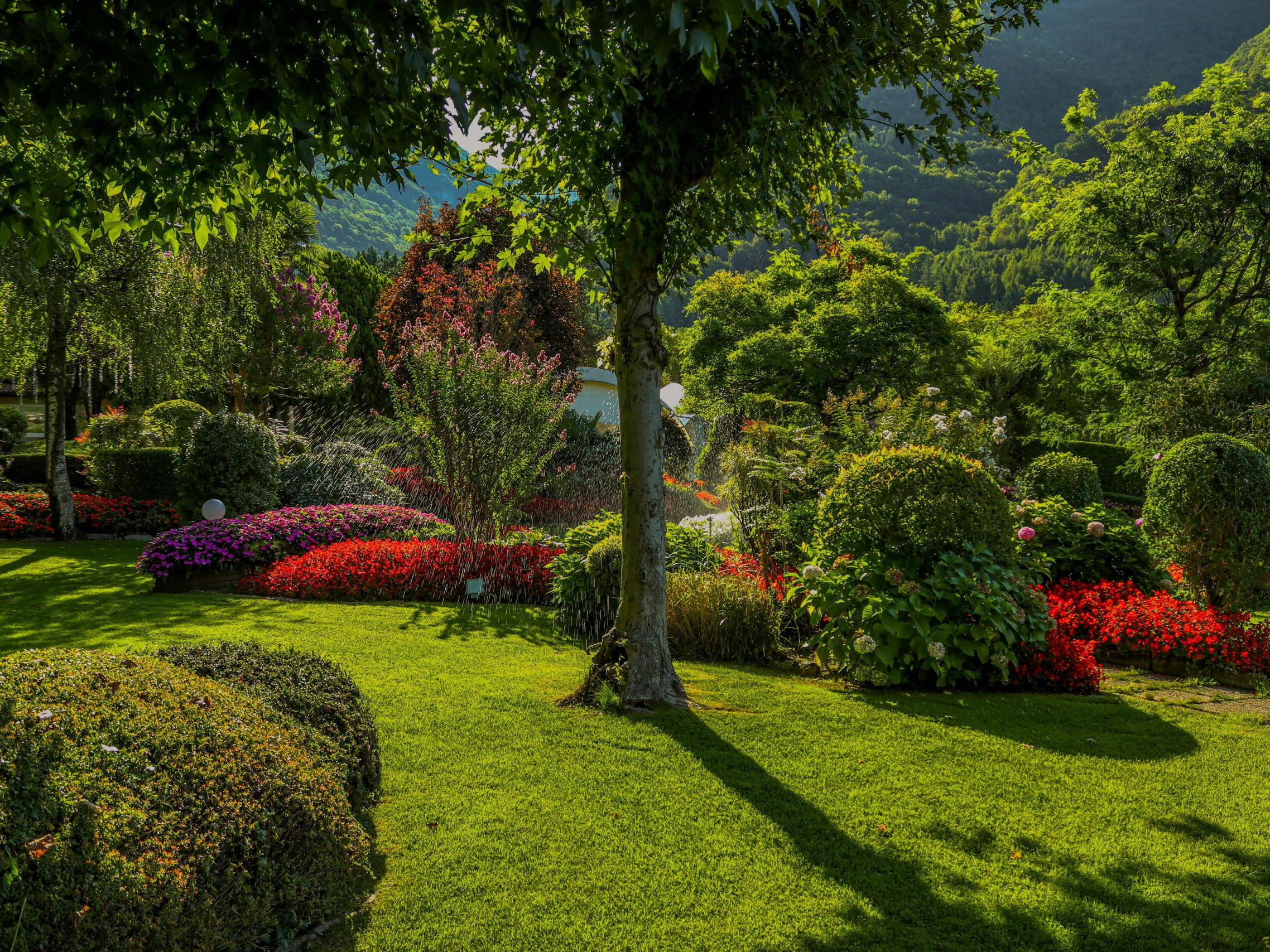 Garden scene ©Lorenza Magnaghi